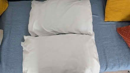 Photo of free 2 white pillows (Argall Avenue Industrial Estate E10) #1