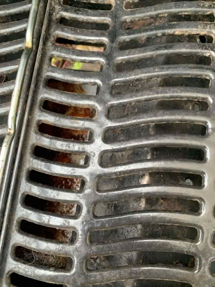 Photo of free Gas bbq (Southend on sea SS1) #2