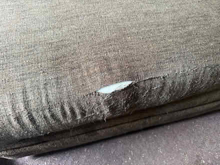 Photo of free ottoman (worcester) #3