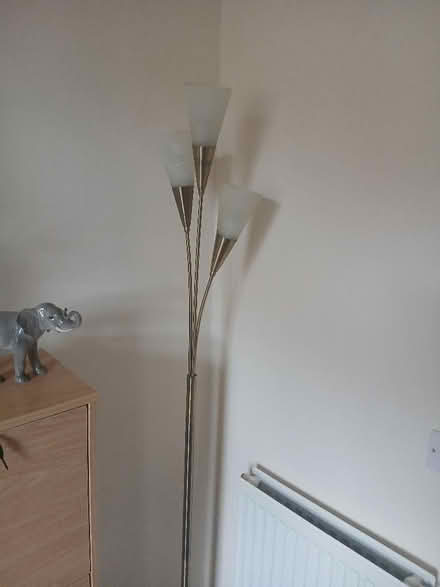 Photo of free Standard lamp (Leominster HR6) #1
