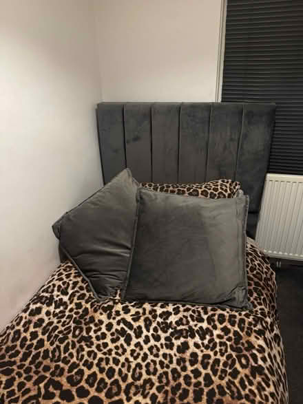 Photo of free Single bed with optional mattress (Sheffield S8 woodseats) #4
