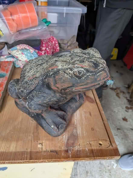 Photo of free Frog water feature (Uphill BS24) #1