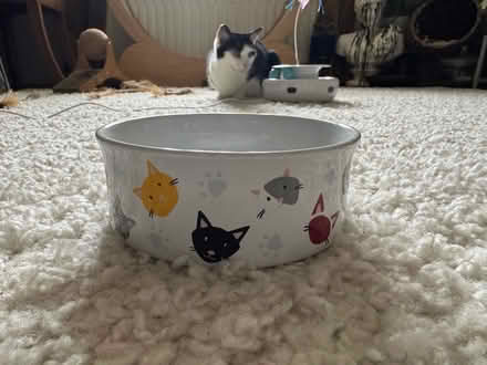Photo of free 3 cat food/water bowls (SE8 Deptford) #3