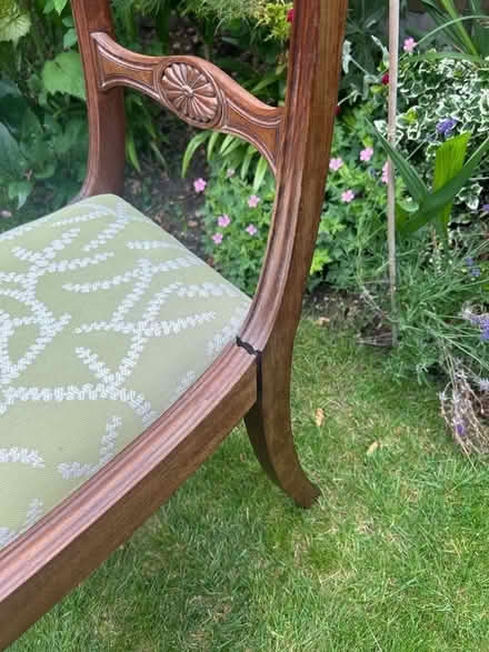 Photo of free Dining Chair (Whitton TW3) #2