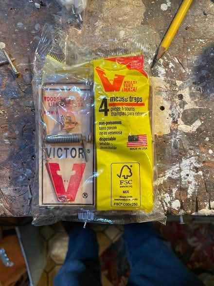 Photo of free Four-pack unused mouse traps (Auburndale) #2