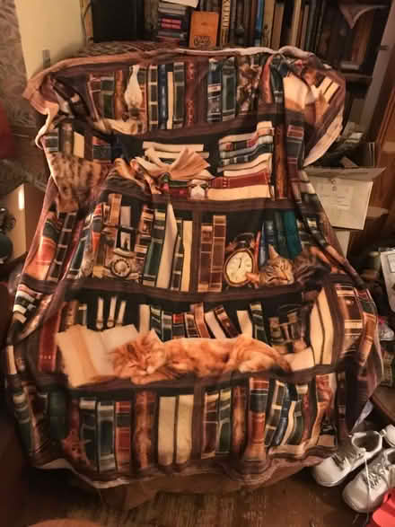 Photo of free Small thin fleece throw (Headington OX3) #1