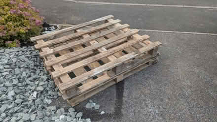 Photo of free Wooden Pallets (Hilton DE65) #1