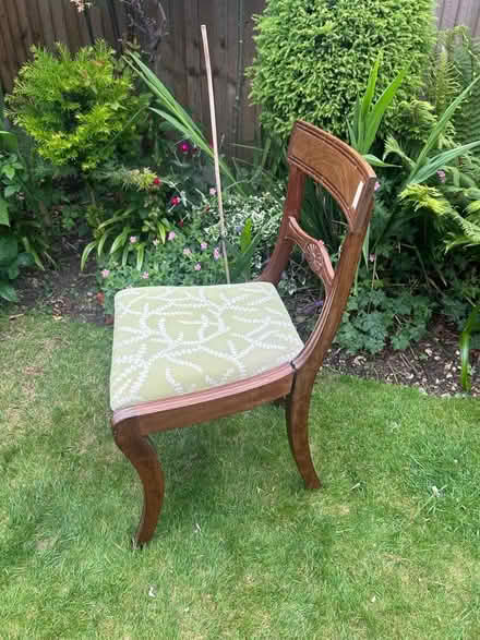 Photo of free Dining Chair (Whitton TW3) #1