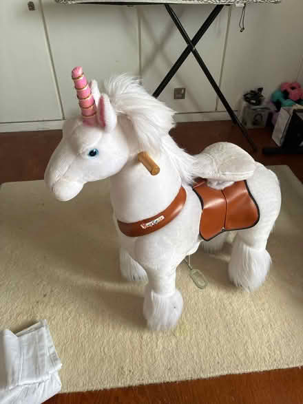 Photo of free Riding unicorn (SW13) #1