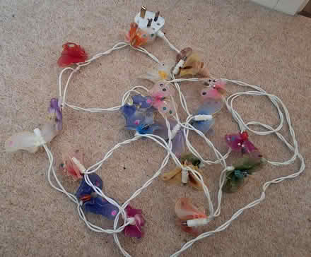 Photo of free Butterfly fairy lights (South Acton) #2