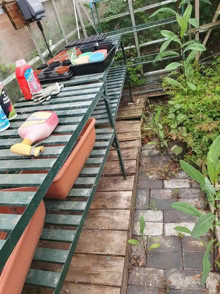 Photo of free Green house (hemel hempstead) #1
