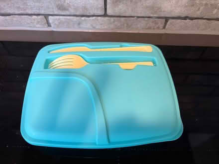 Photo of free Lunch box (Tilehurst RG30) #1