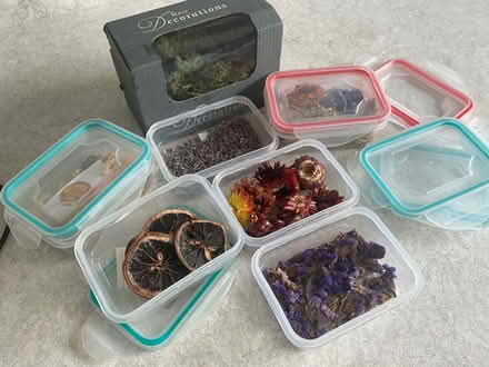 Photo of free Dried flowers/plants/moss small covered tubs (Ballyfinaghy BT10) #1