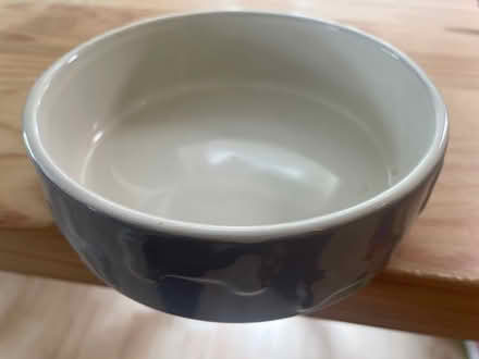 Photo of free Dog brush, two water bowls (Summertown OX2) #1