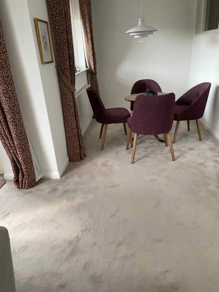 Photo of free top quality grey carpet and underlay (Southbourne BH6) #1