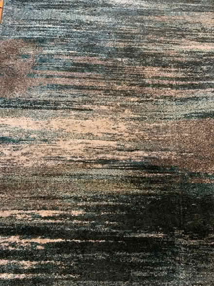 Photo of free Rug (Barnton EH4) #3