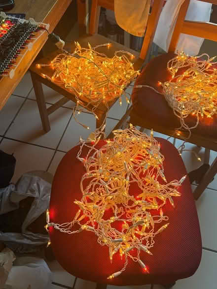 Photo of free Mini Christmas Lights (Just outside of Park Slope) #2