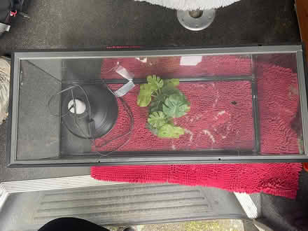 Photo of free Vivarium (Threlkeld CA11) #2