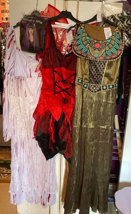 Photo of free Adult Halloween costumes (Swindon SN5) #1