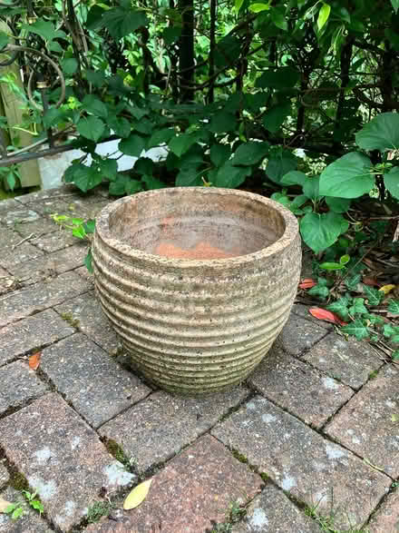 Photo of free Terracotta plant pots (x2) (CR8) #1
