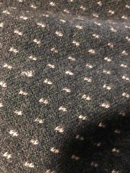Photo of free Winter skirt (Leslieville) #2
