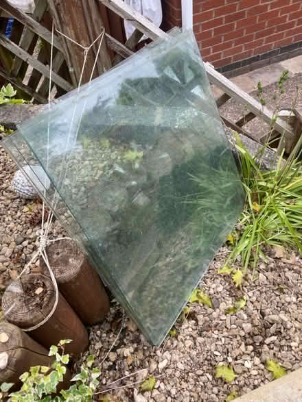 Photo of free Greenhouse glass (Cleobury Mortimer) #1