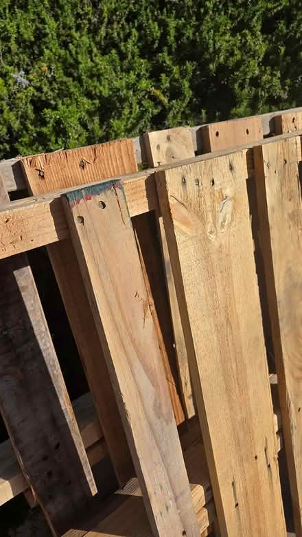 Photo of free Wood Pellets (San Carlos CA) #2