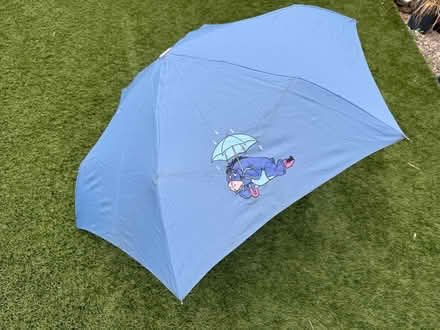 Photo of free 3 working order umbrellas (Spital Meadow SL4) #2