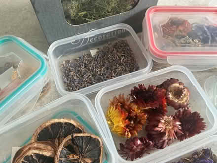 Photo of free Dried flowers/plants/moss small covered tubs (Ballyfinaghy BT10) #2