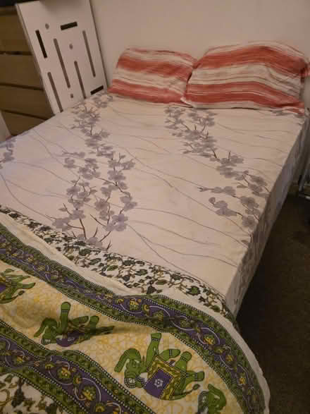 Photo of free Queen mattress (North Woolwich E16) #1