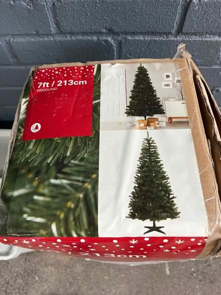 Photo of free Christmas Tree (DE56 - Duffield) #1