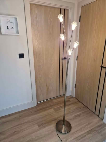 Photo of free Pretty floor lamp (Datchworth SG3) #1