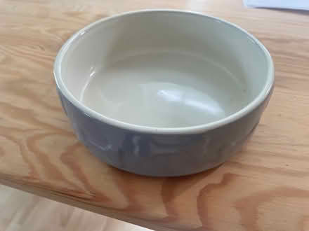 Photo of free Dog brush, two water bowls (Summertown OX2) #2