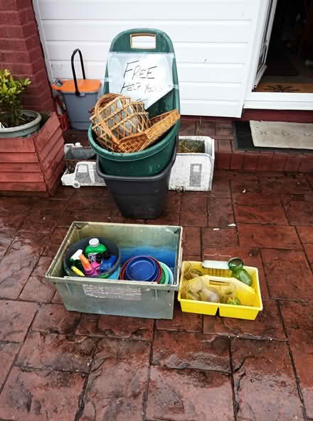 Photo of free Garden allotment items (Selsey PO20) #2