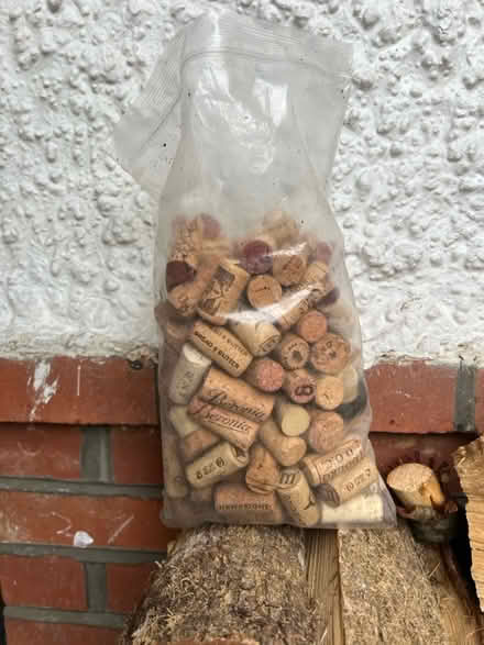 Photo of free Bag of corks (Hove BN3) #1