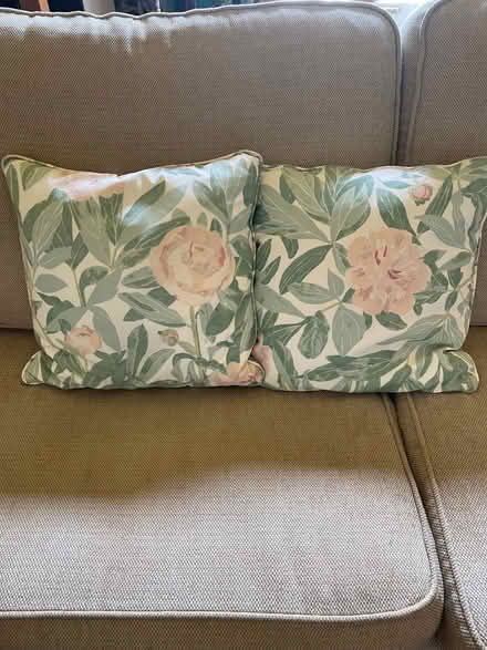 Photo of free Pair of feather cushions 16 inch square (Southsea PO5) #2