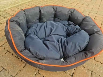Photo of free Soft dog bed (Halesworth) #1