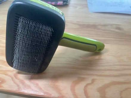 Photo of free Dog brush, two water bowls (Summertown OX2) #4
