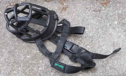 Photo of free Dog muzzle, small (East Croydon CR0) #1