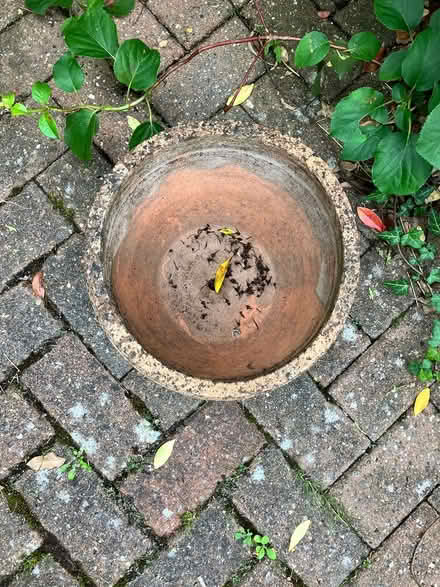 Photo of free Terracotta plant pots (x2) (CR8) #2