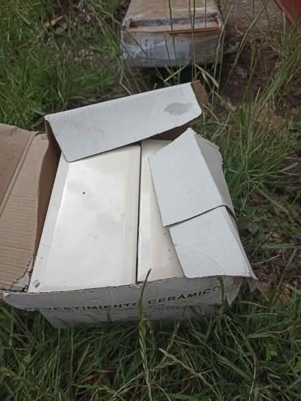 Photo of free Cream tiles (Romford RM1) #1