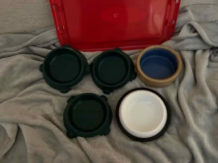 Photo of free Cat Feeding Bowls (East Barnet. EN4) #1