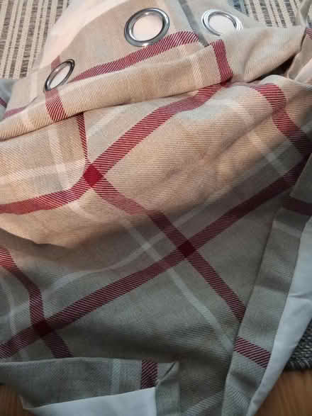 Photo of free Curtains (Willesborough) #1