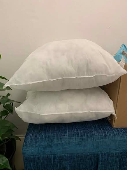 Photo of free Cushion inserts. (Southport PR8) #1