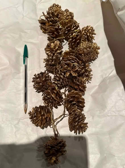 Photo of free Christmas tree fir cones (Barnard's Green WR14) #1