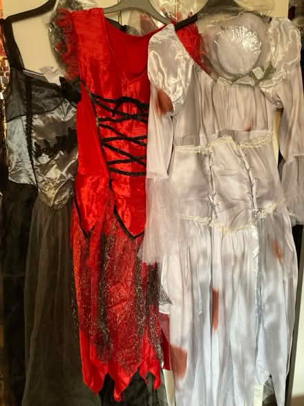 Photo of free Adult Halloween costumes (Swindon SN5) #2