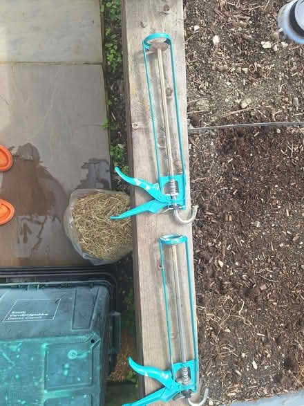 Photo of free Skeleton guns (Hollingdean BN1) #1