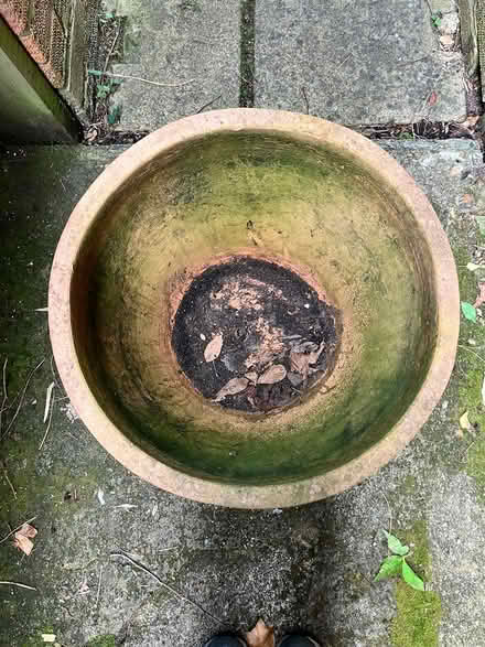 Photo of free Large terracotta plant pot (CR8) #2
