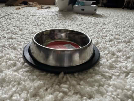 Photo of free 3 cat food/water bowls (SE8 Deptford) #4