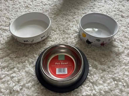 Photo of free 3 cat food/water bowls (SE8 Deptford) #1